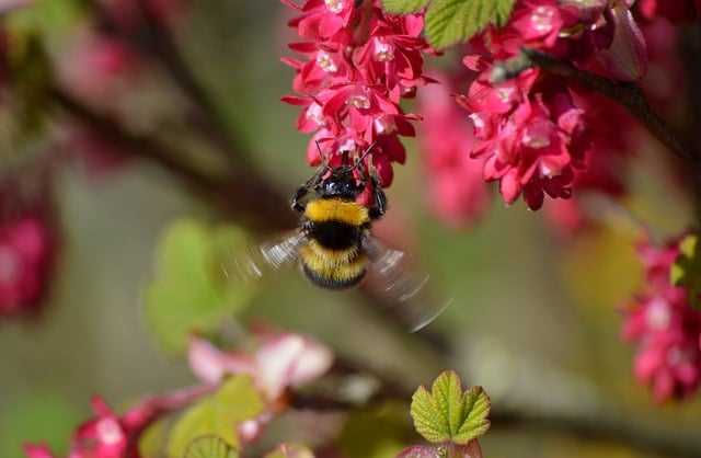 undefinedПроведите исследование</strong>. Каждое государство имеет свои правила. Ознакомьтесь с соглашениями об избежании двойного налогообложения между вашей страной и принимающей стороной. Эти документы защищают от необходимости уплачивать несколько раз один и тот же сбор с одного и того же дохода.»></p>
<p><em>Соблюдайте сроки сдачи отчетности</em>. Позаботьтесь о формировании отчетных документов заранее. Даже если регистрация прошла успешно, упущенные сроки могут привести к штрафам или дополнительным проверкам. Также изучите, какие формы и какие суммы налогов вам нужно будет уплачивать в зависимости от вашего дохода.</p>
<p><img decoding=